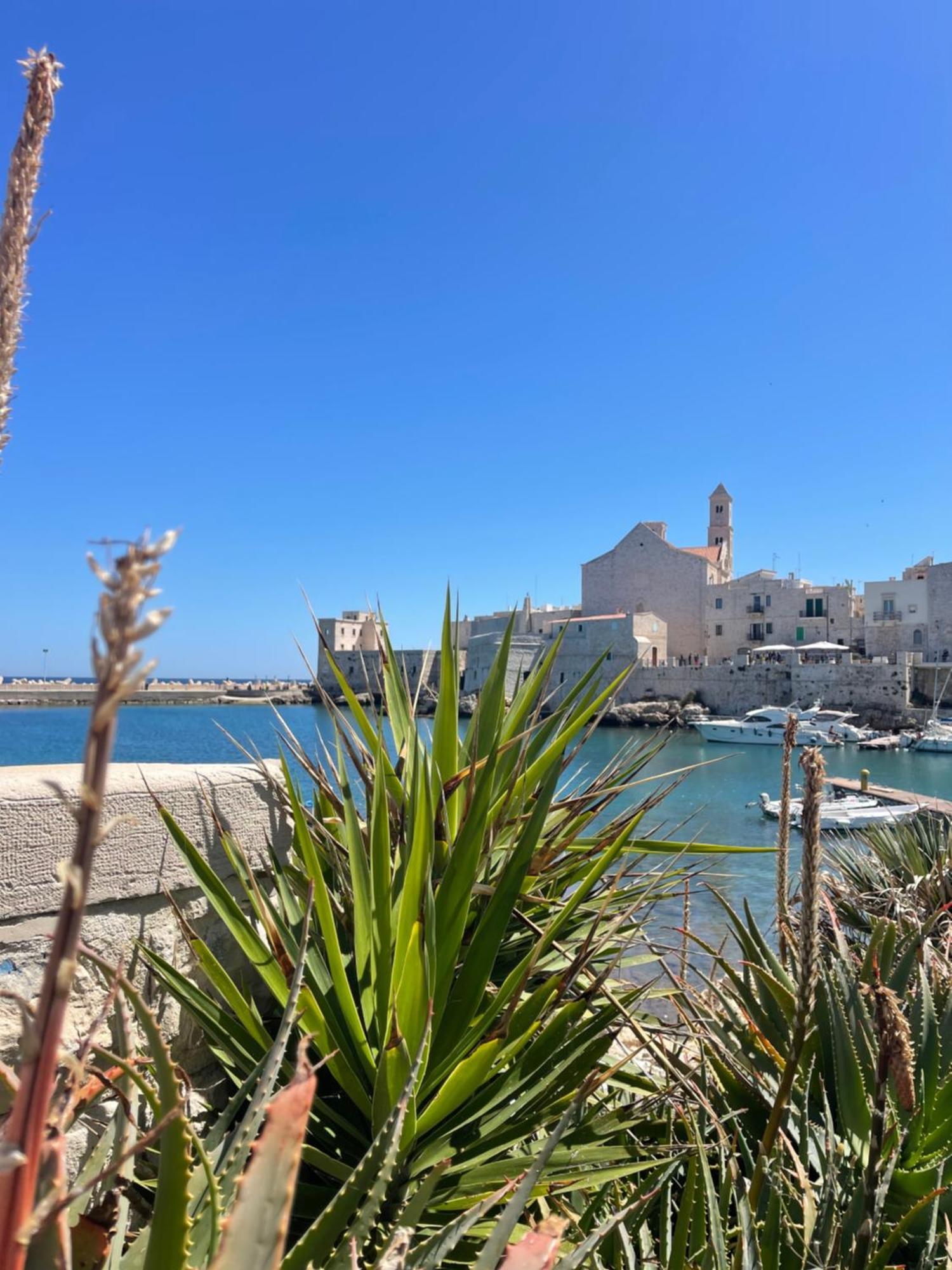 Arcomare Suite Giovinazzo Extérieur photo